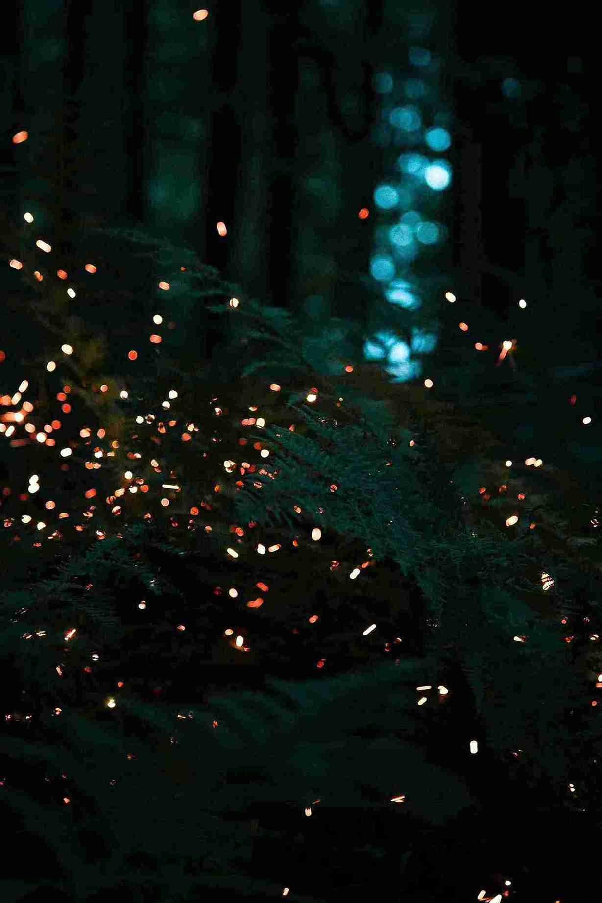 Kunang-kunang yang menyala bertebaran di suasana yang gelap di atas daun hijau