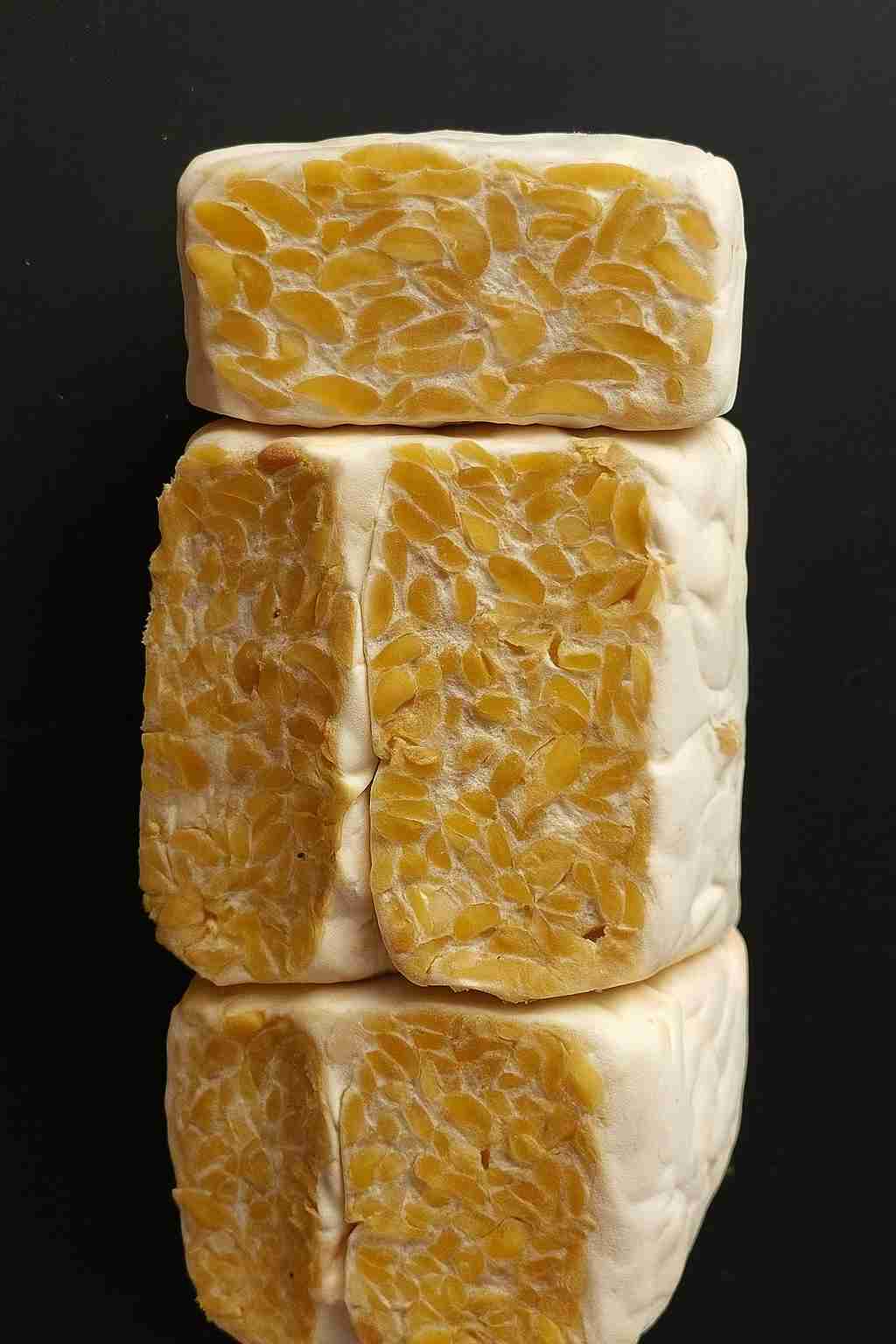 Kualitas Tempe: Kepadatan dan Miselium Tempe Kedelai Tumpukan blok tempe segar berkualitas tinggi