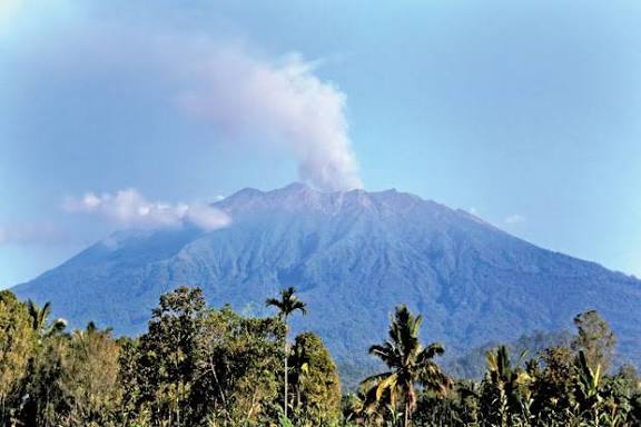 Puncak Gunung Raung mengeluarkan kolom asap putih tebal ke langit biru dengan latar depan pepohonan kelapa.