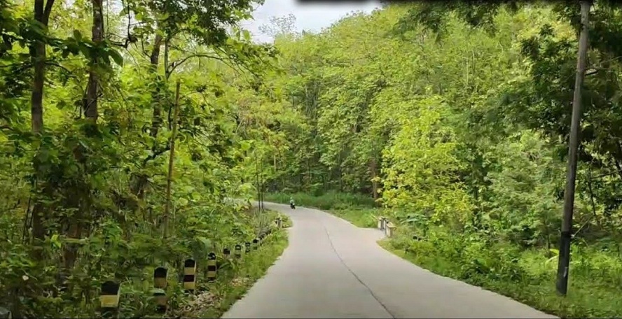 Jalan aspal mulus berkelok yang dikelilingi oleh hutan pohon jati yang rimbun di wilayah Blora.