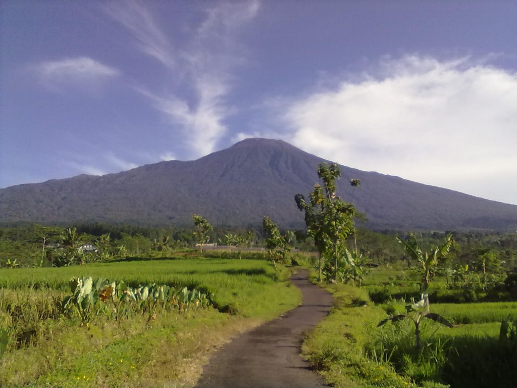 Jalan setapak aspal yang membelah area persawahan menuju latar belakang Gunung Slamet yang megah.
