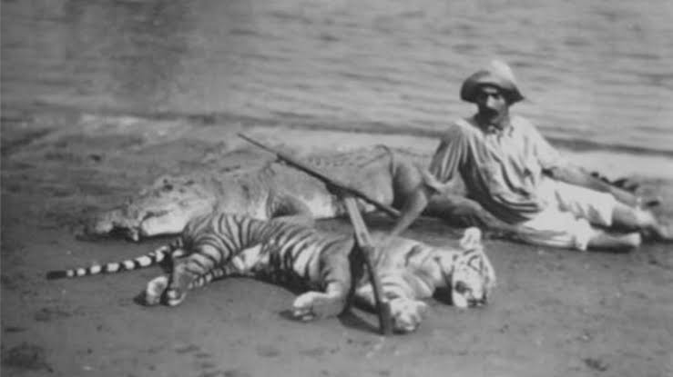 Foto hitam putih zaman kolonial menunjukkan hasil buruan seekor harimau jawa dan buaya di tepi sungai.