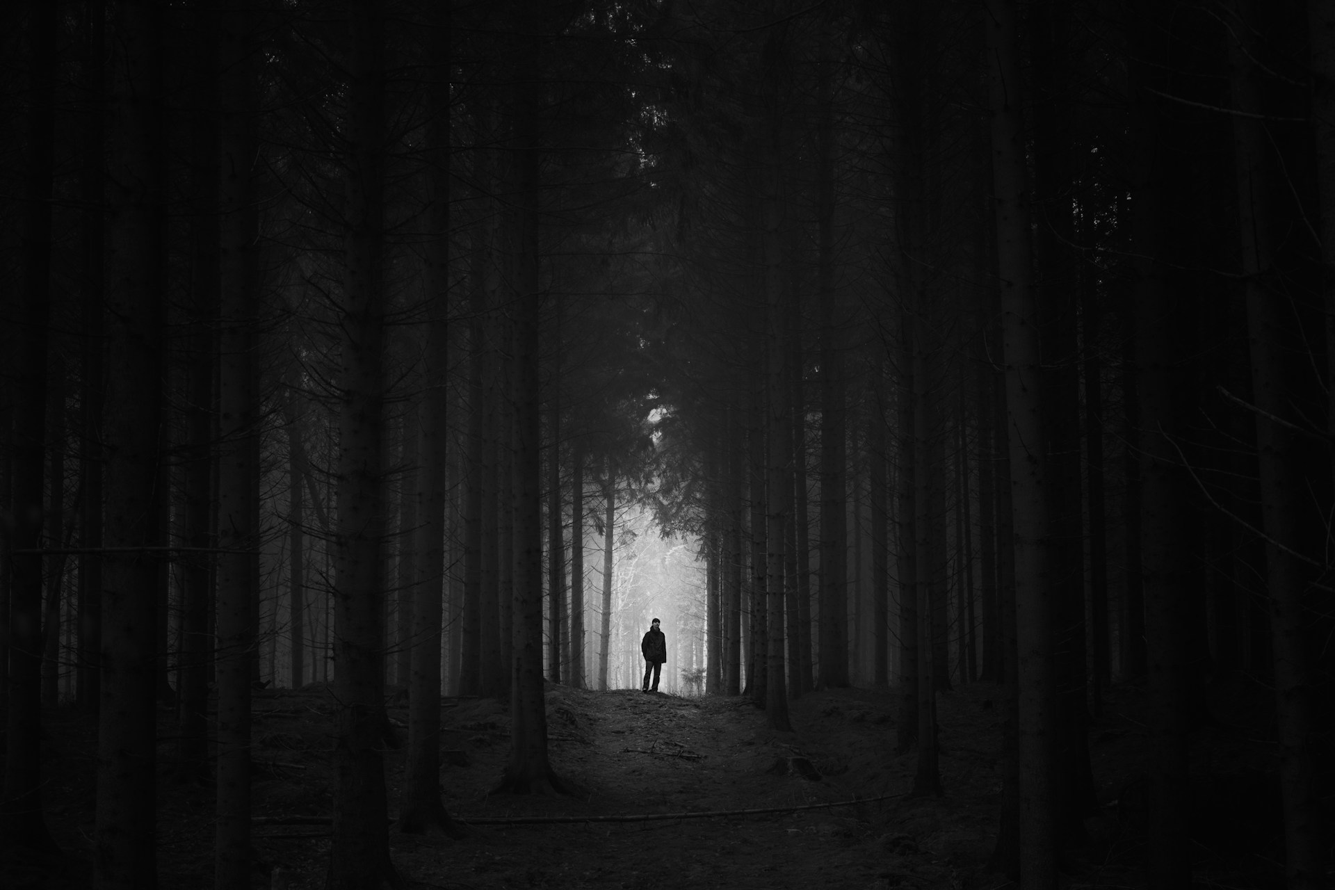 Seseorang sedang di dalam hutan gelap